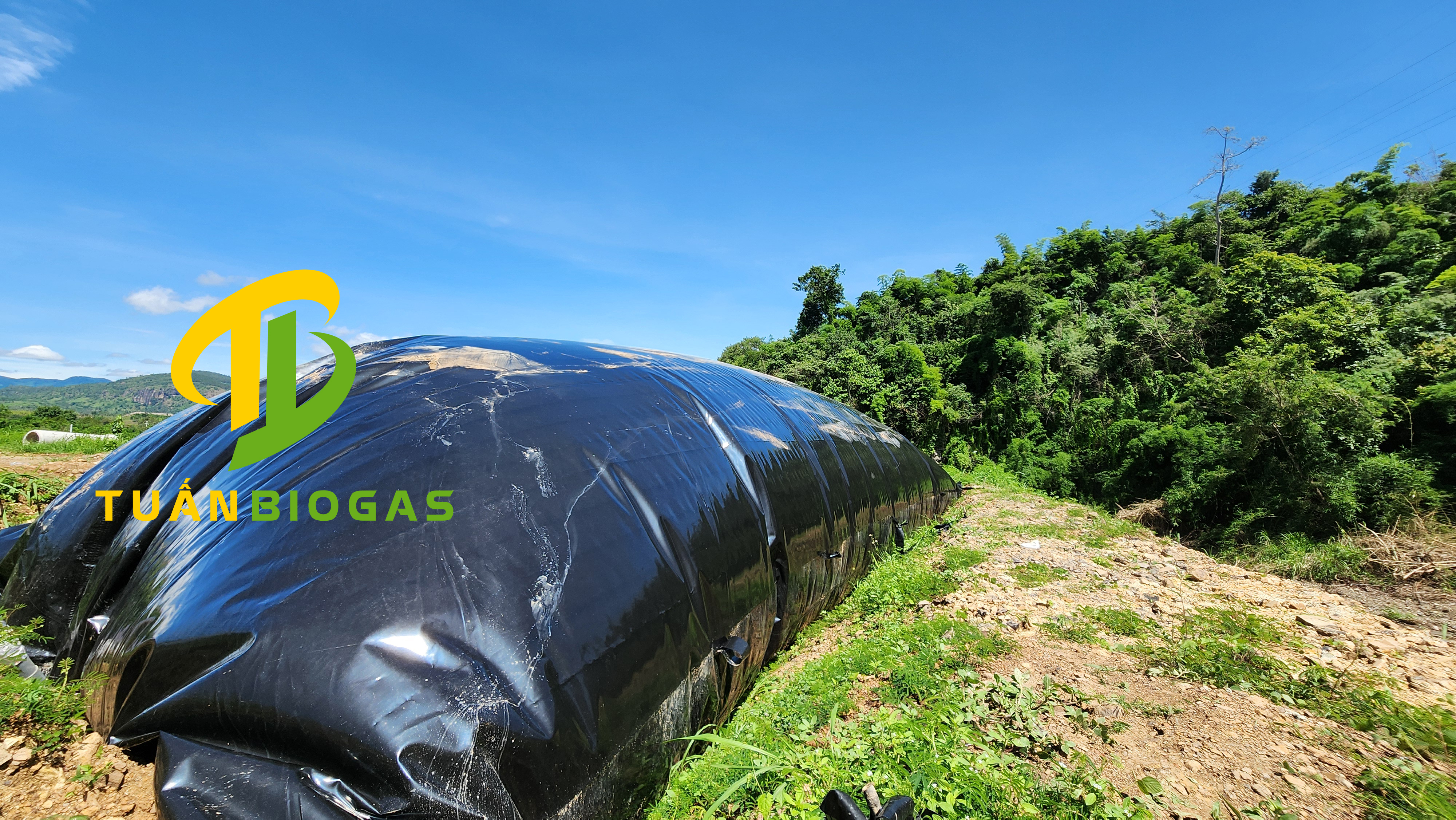 Túi Biogas Bình Phước: Giải Pháp Chống Đẩy Nổi, Xử Lý Nước Thải Trang Trại Heo Toàn Diện